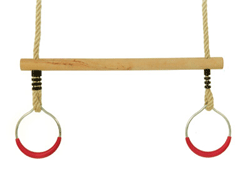 trapeze-bar-steel-rings